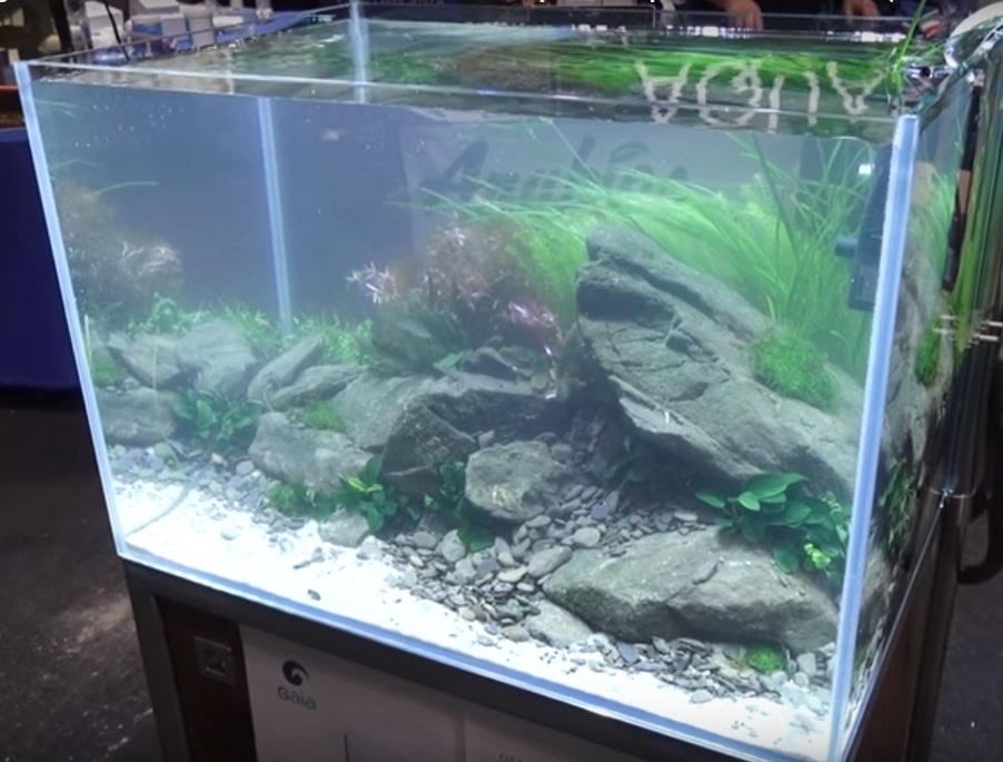 Detail Aquascape Tema Gurun Pasir Nomer 22