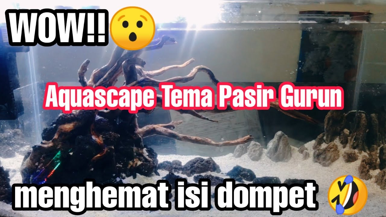 Detail Aquascape Tema Gurun Pasir Nomer 27