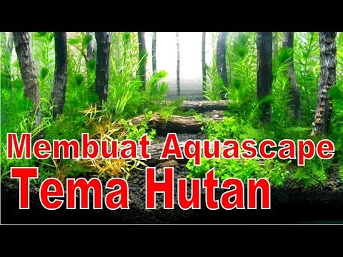 Detail Aquascape Tema Hutan Pinus Nomer 2