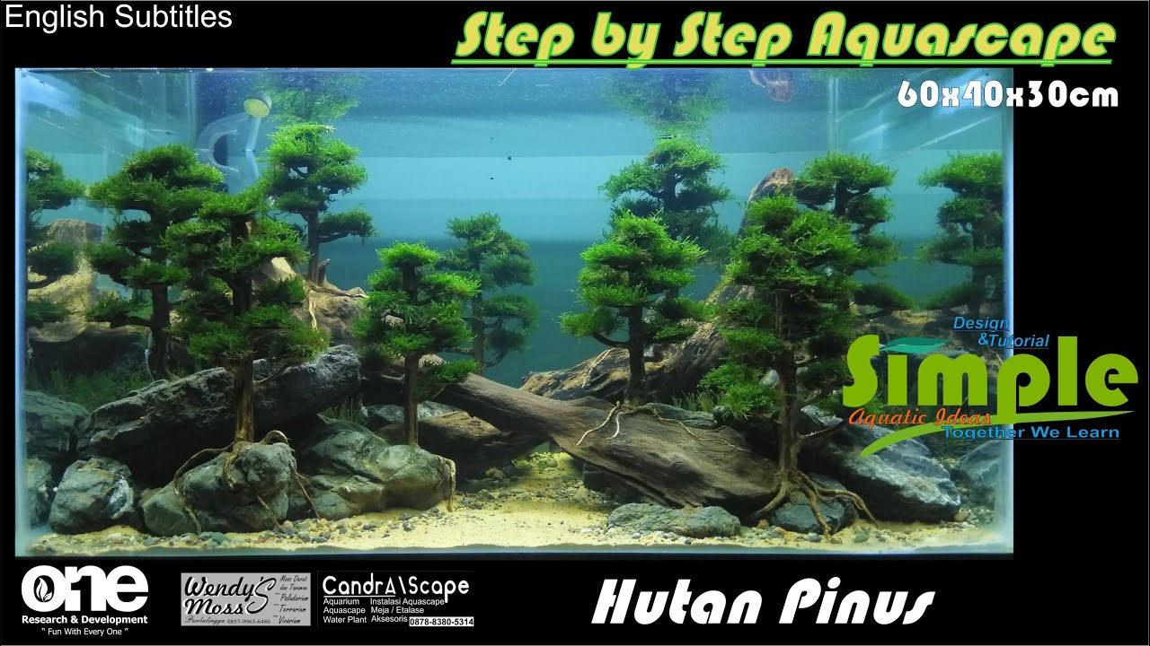 Detail Aquascape Tema Hutan Pinus Nomer 4