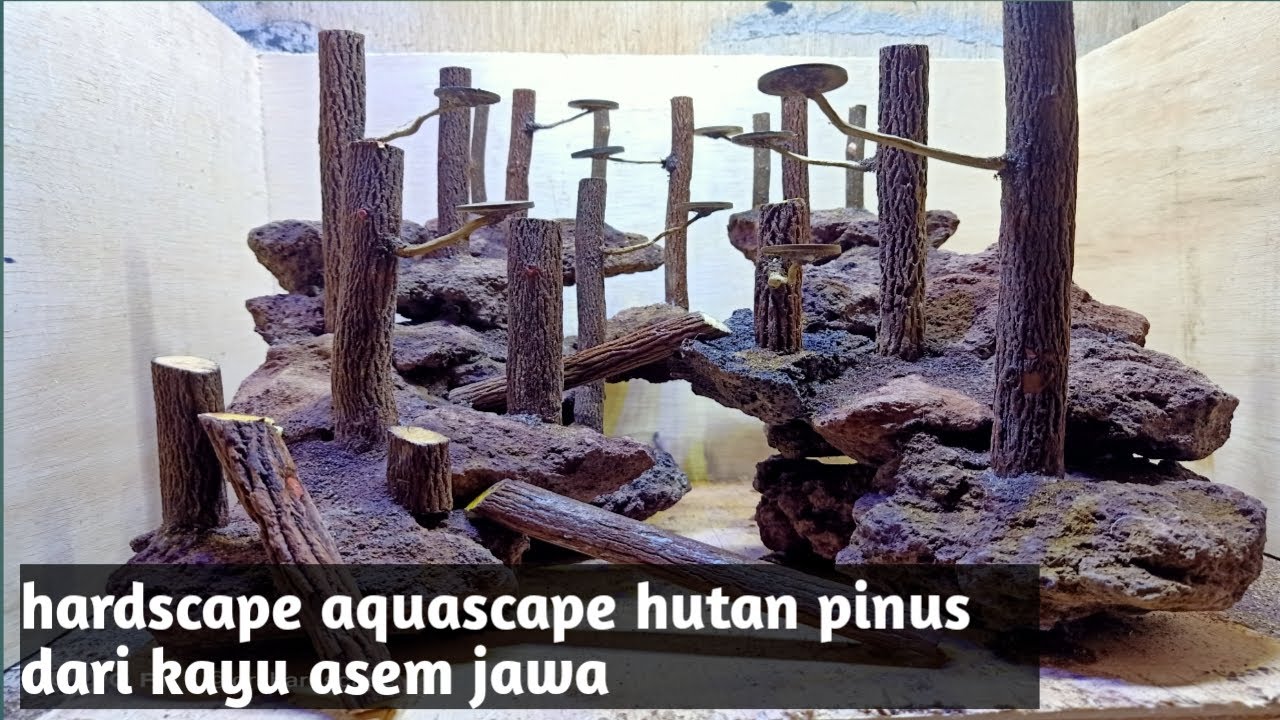 Detail Aquascape Tema Hutan Pinus Nomer 30