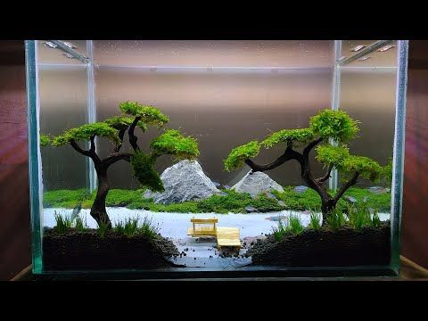 Detail Aquascape Tema Hutan Pinus Nomer 53