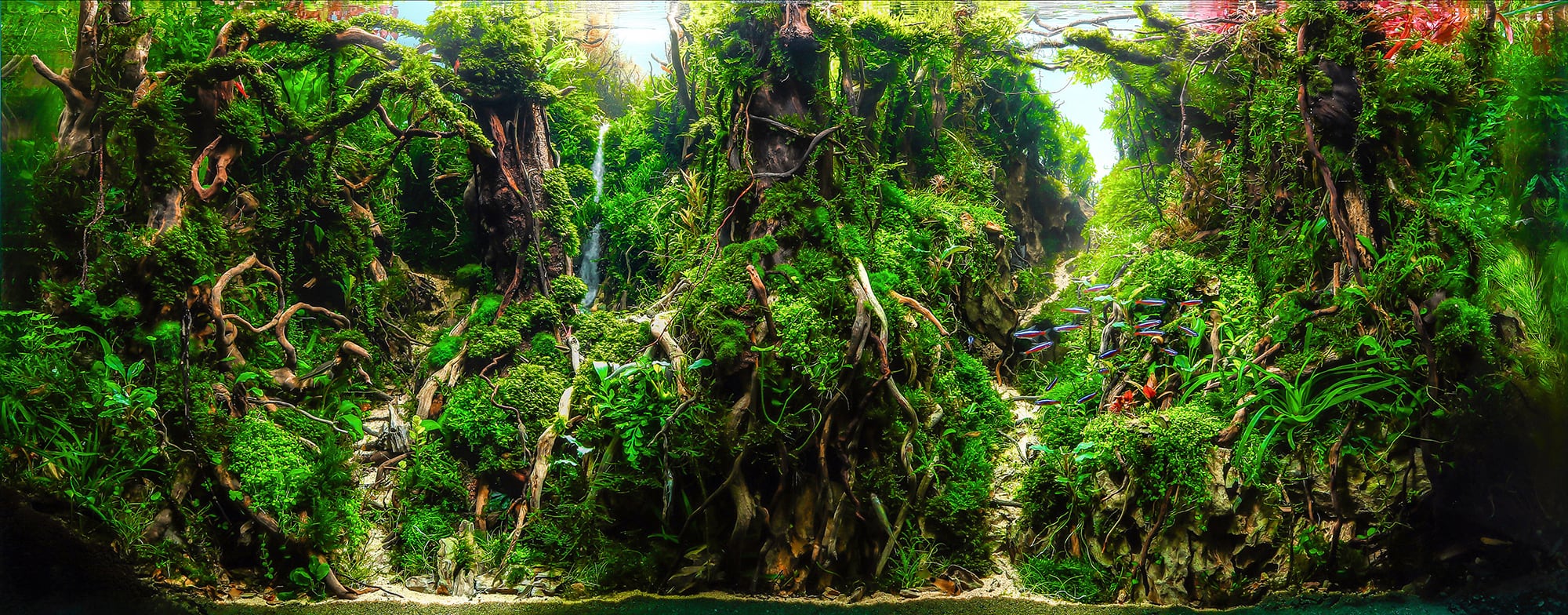 Detail Aquascape Tema Jungle Style Nomer 19