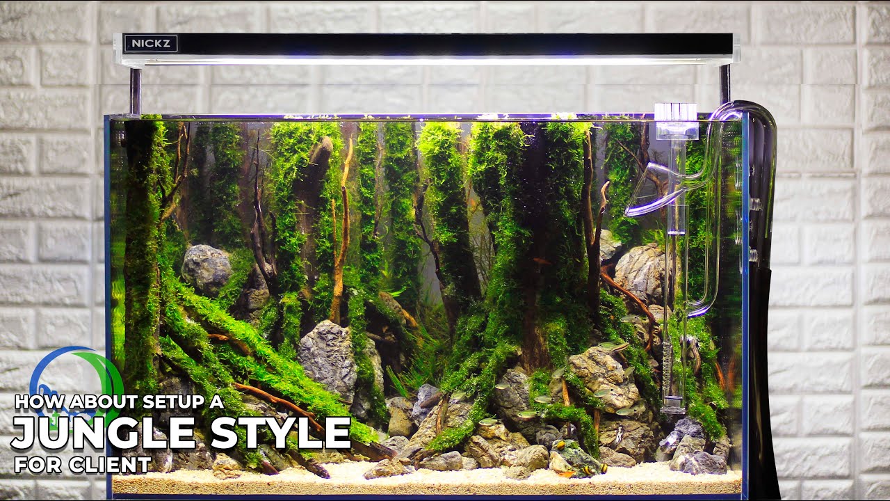 Detail Aquascape Tema Jungle Style Nomer 4