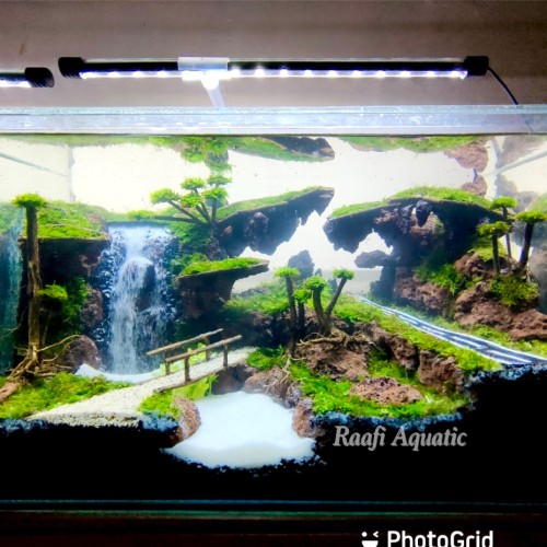 Detail Aquascape Tema Kota Nomer 14