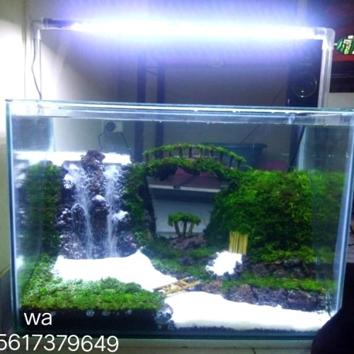 Detail Aquascape Tema Kota Nomer 15