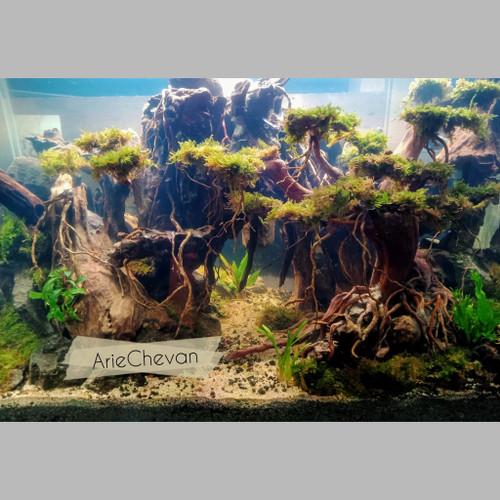 Detail Aquascape Tema Kota Nomer 20