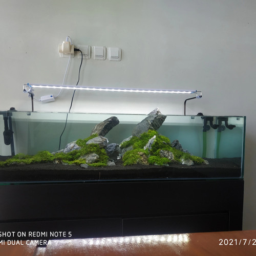 Detail Aquascape Tema Kota Nomer 21