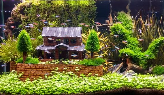 Detail Aquascape Tema Kota Nomer 5