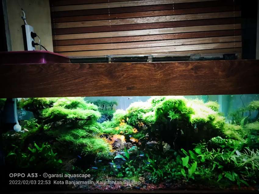 Detail Aquascape Tema Kota Nomer 41