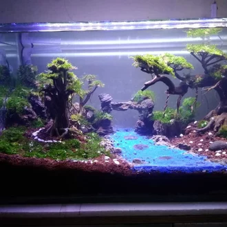 Detail Aquascape Tema Spongebob Nomer 55