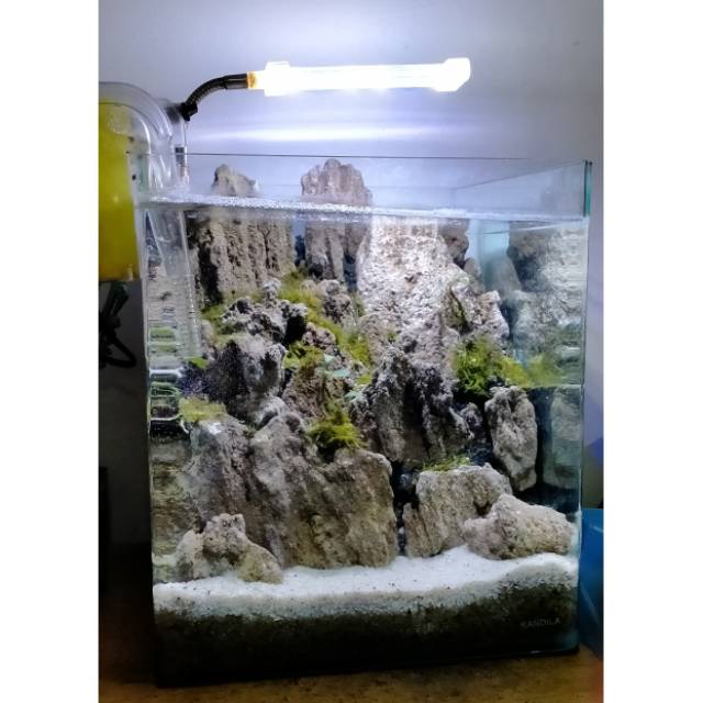 Detail Aquascape Tema Tebing Batu Nomer 19