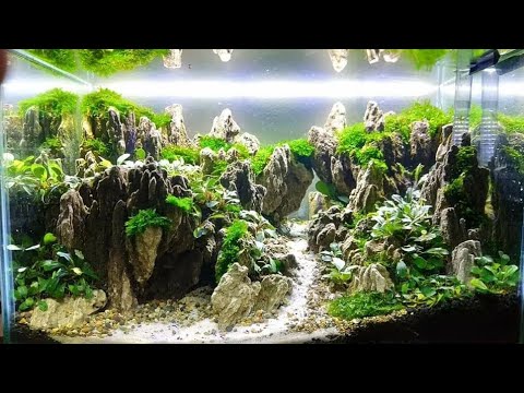 Detail Aquascape Tema Tebing Batu Nomer 25