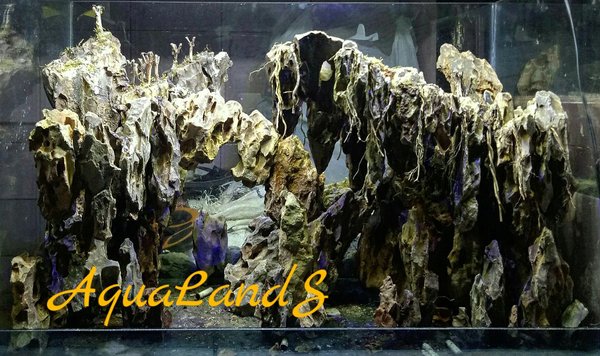 Detail Aquascape Tema Tebing Batu Nomer 7