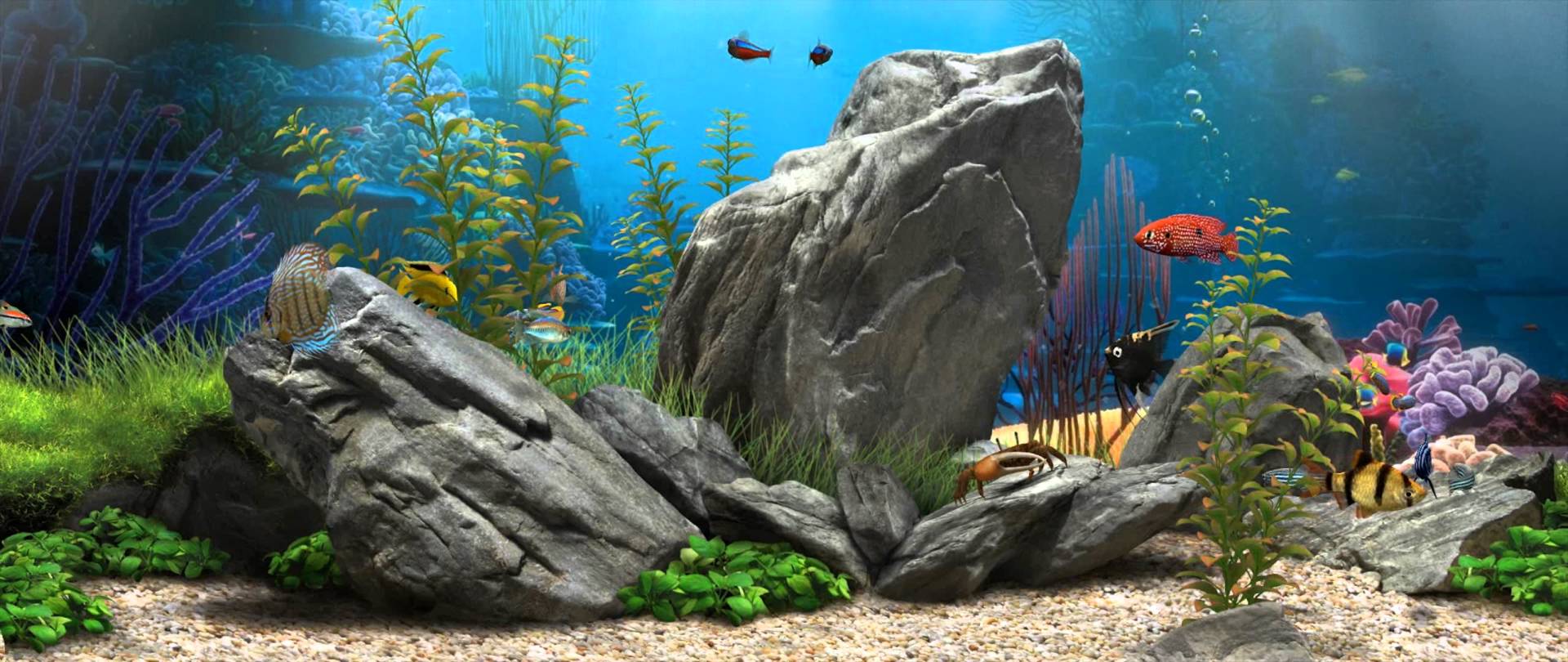 Detail Aquascape Wallpaper Desktop Nomer 12