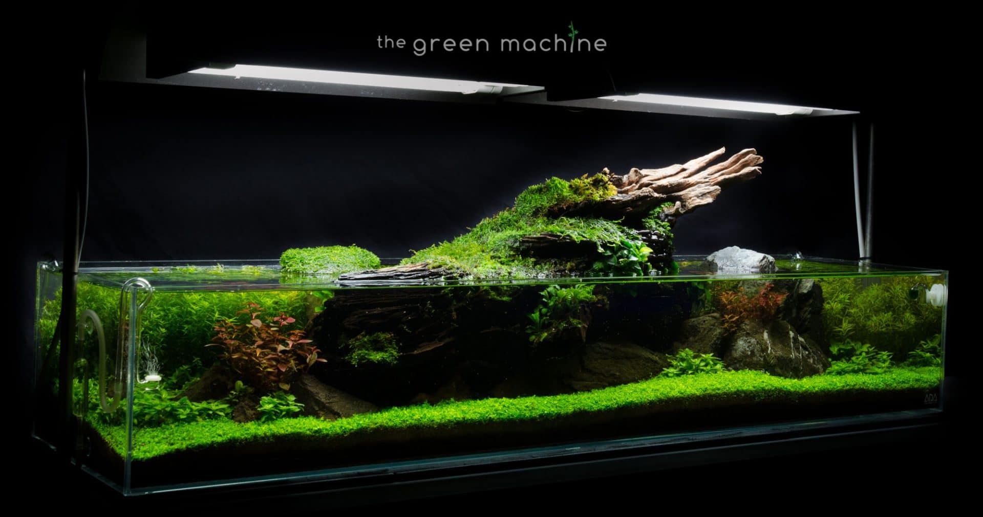 Detail Aquascape Wallpaper Desktop Nomer 30