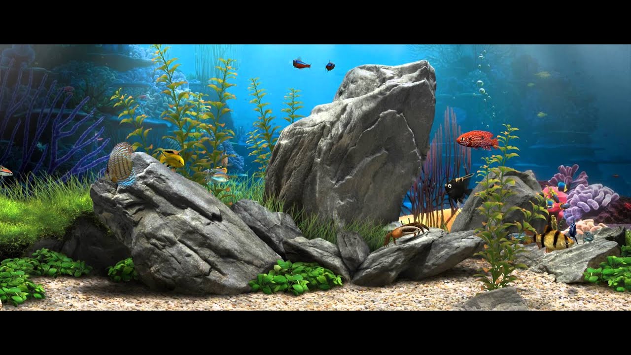 Detail Aquascape Wallpaper Desktop Nomer 36