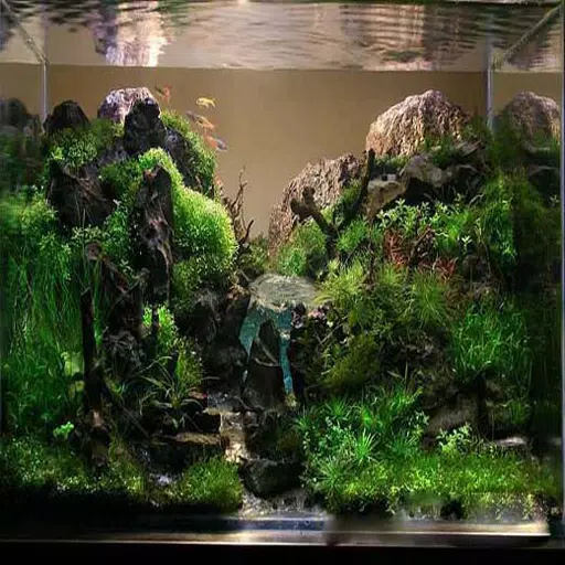 Detail Aquascape Wallpaper Desktop Nomer 39