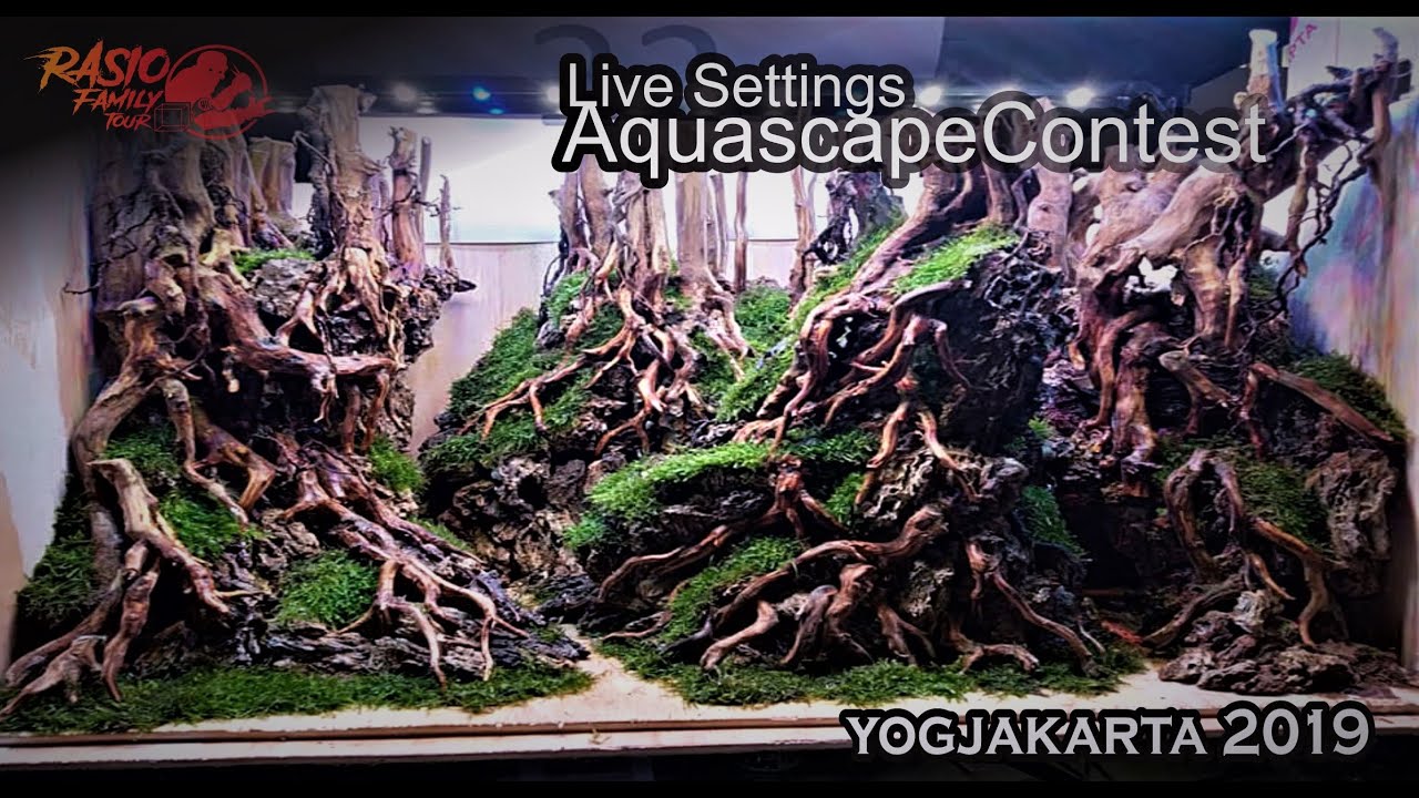 Detail Aquascape Yogyakarta Nomer 53