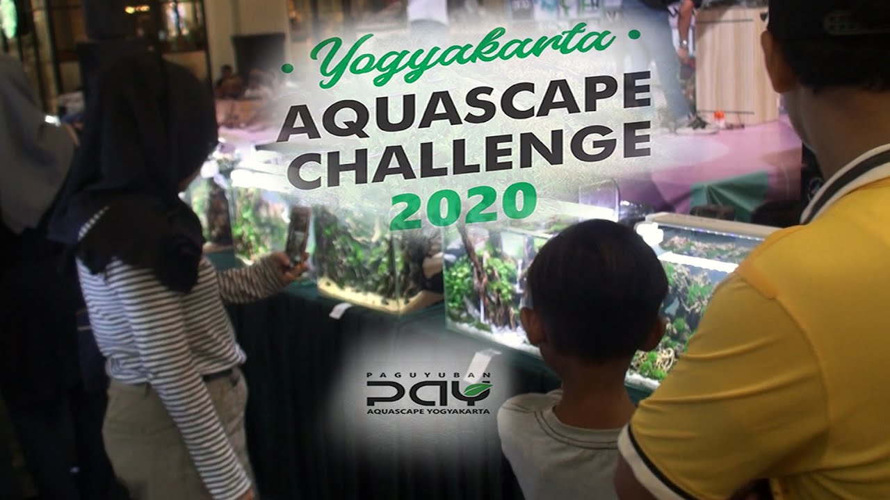 Detail Aquascape Yogyakarta Nomer 56