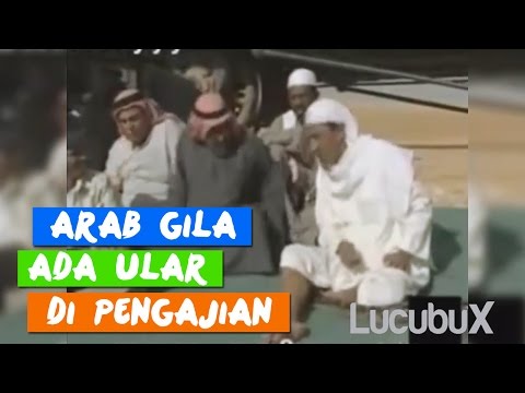 Detail Arab Gila Gokil Nomer 48