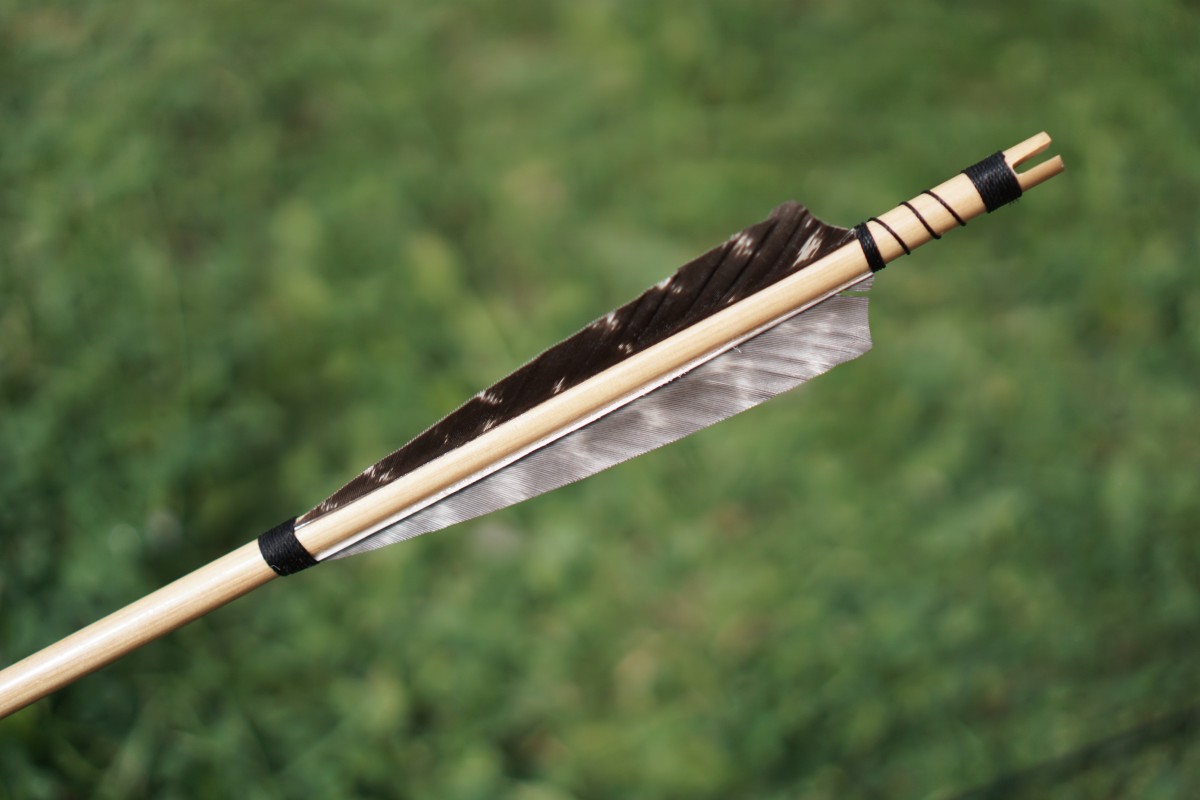 Detail Archery Arrow Images Nomer 31