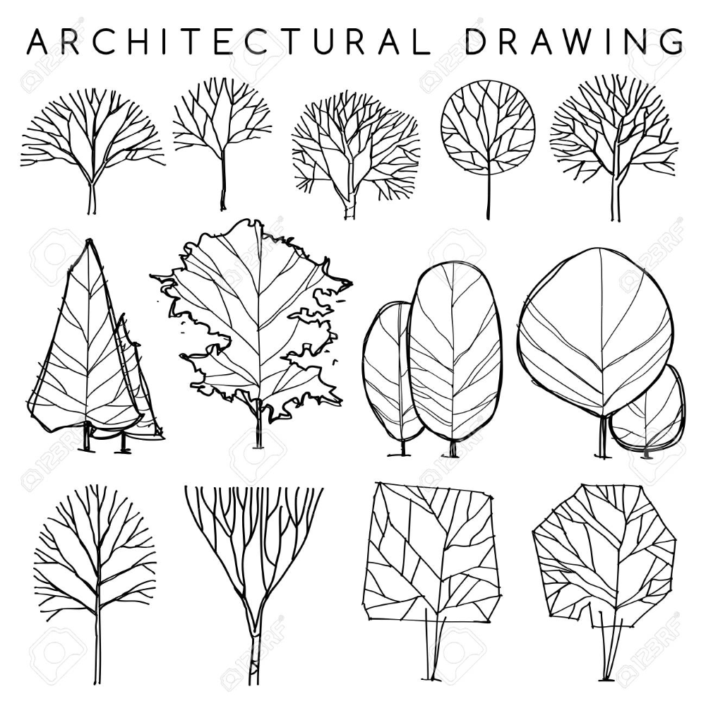 Detail Architectural Tree Nomer 2