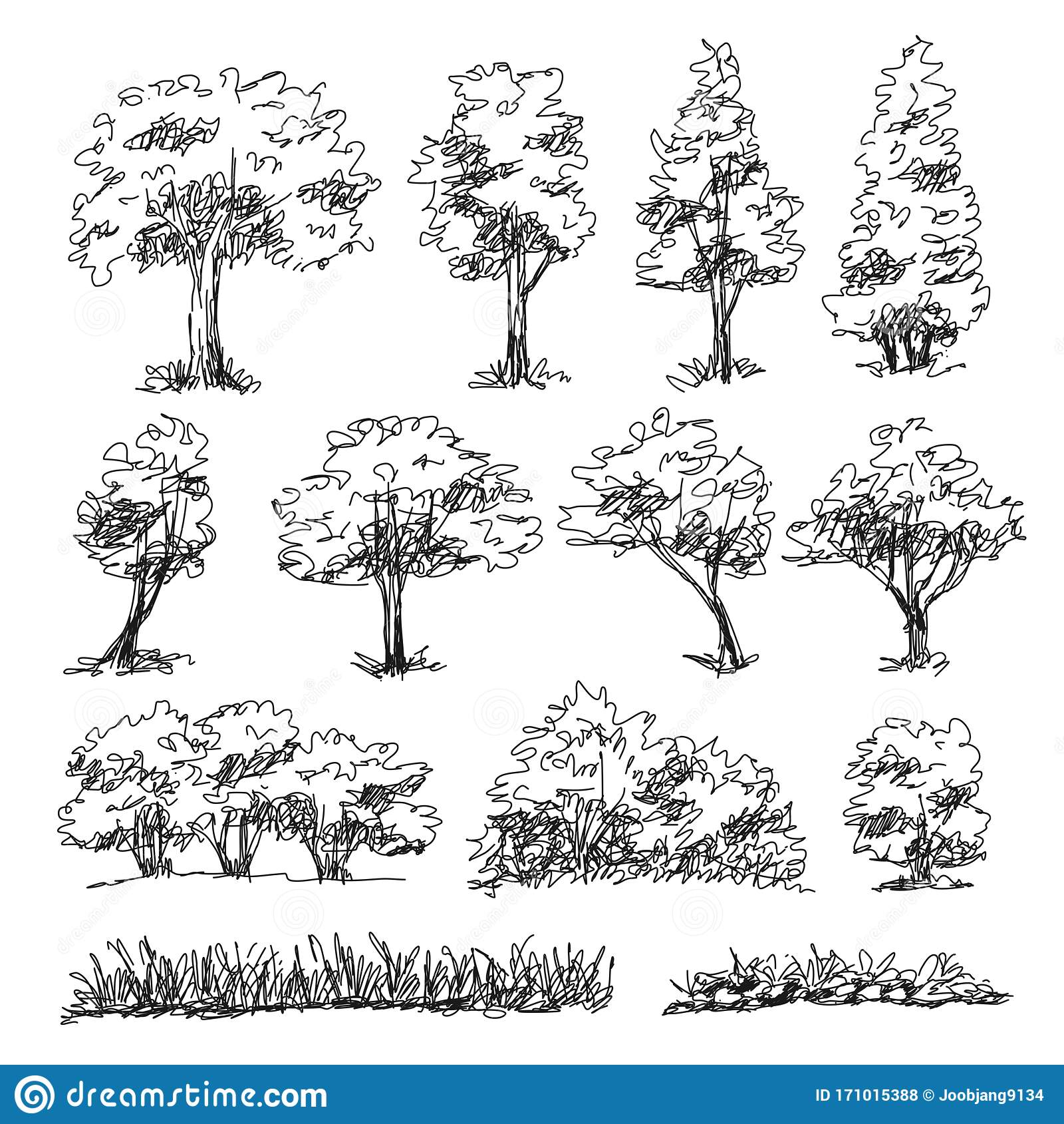 Detail Architectural Tree Nomer 11