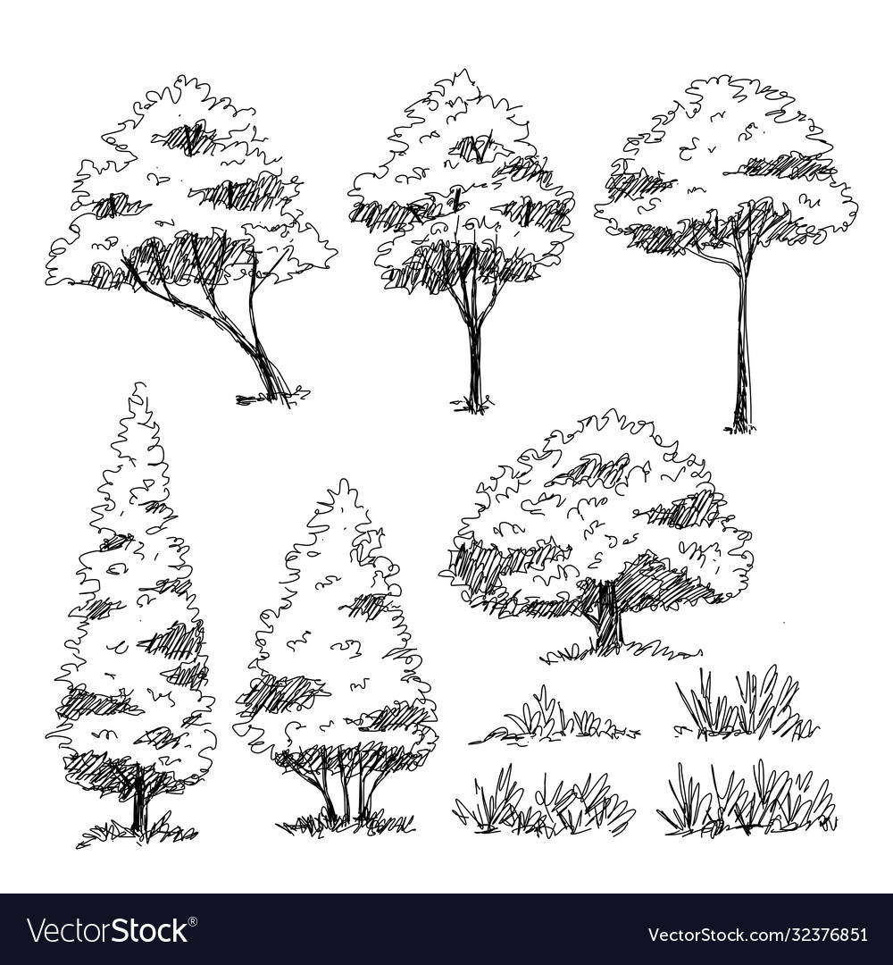 Detail Architectural Tree Nomer 12