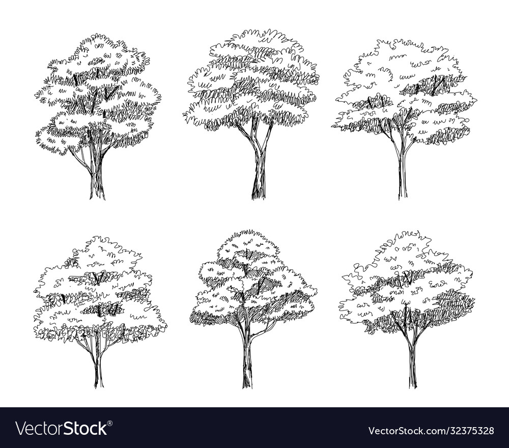 Detail Architectural Tree Nomer 13