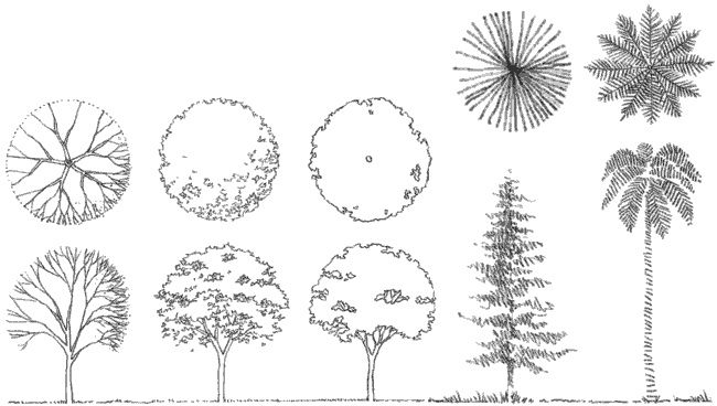 Detail Architectural Tree Nomer 14