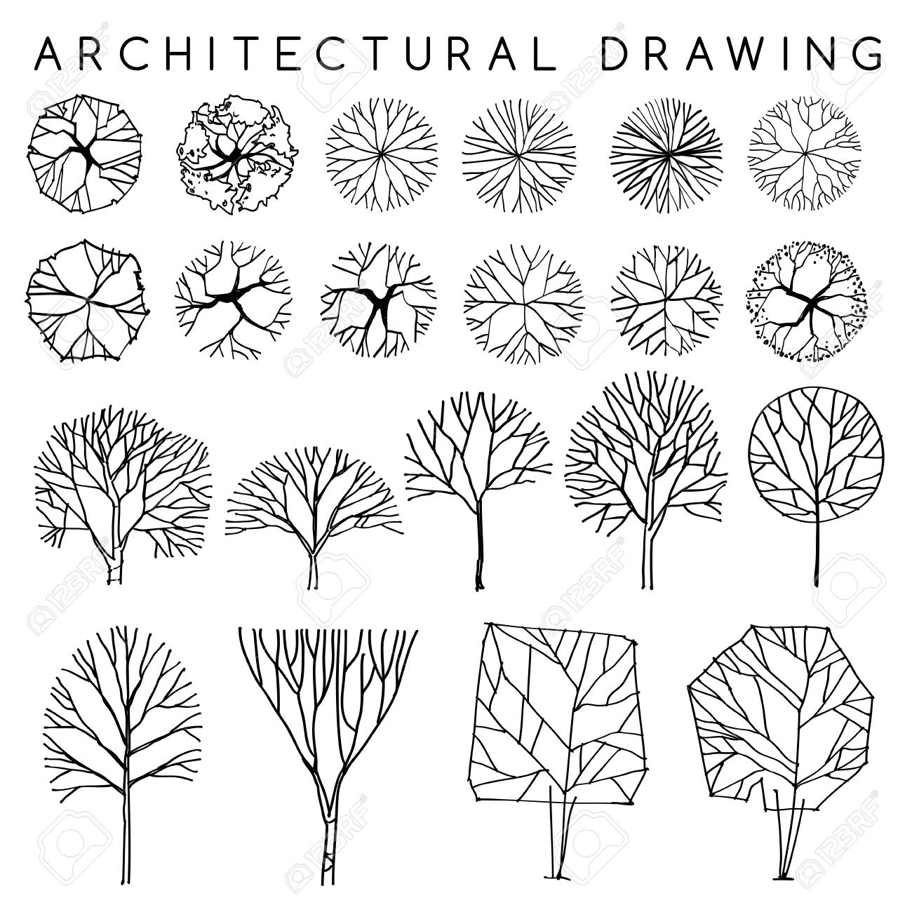 Detail Architectural Tree Nomer 15