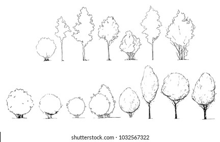 Detail Architectural Tree Nomer 16
