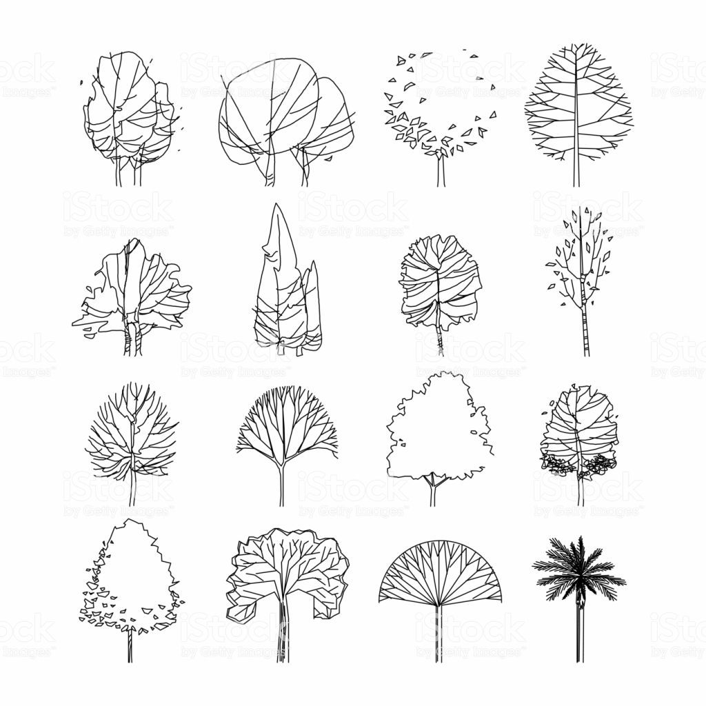 Detail Architectural Tree Nomer 17