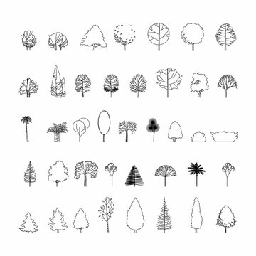 Detail Architectural Tree Nomer 19