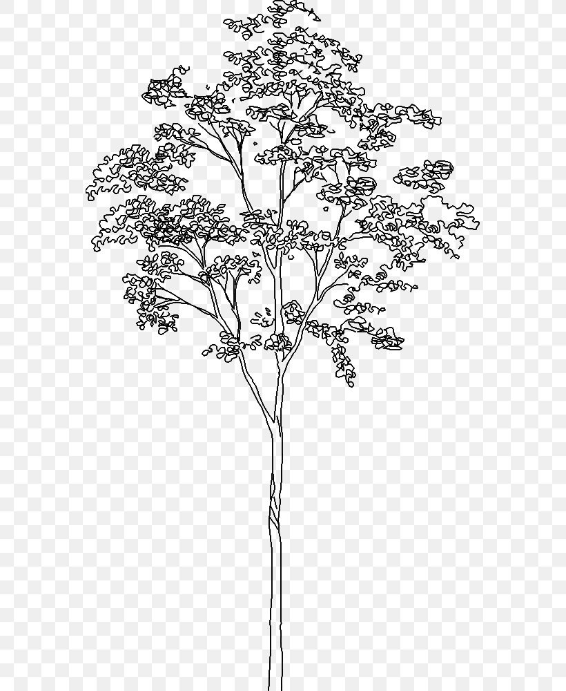 Detail Architectural Tree Nomer 22