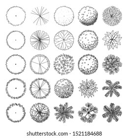 Detail Architectural Tree Nomer 23