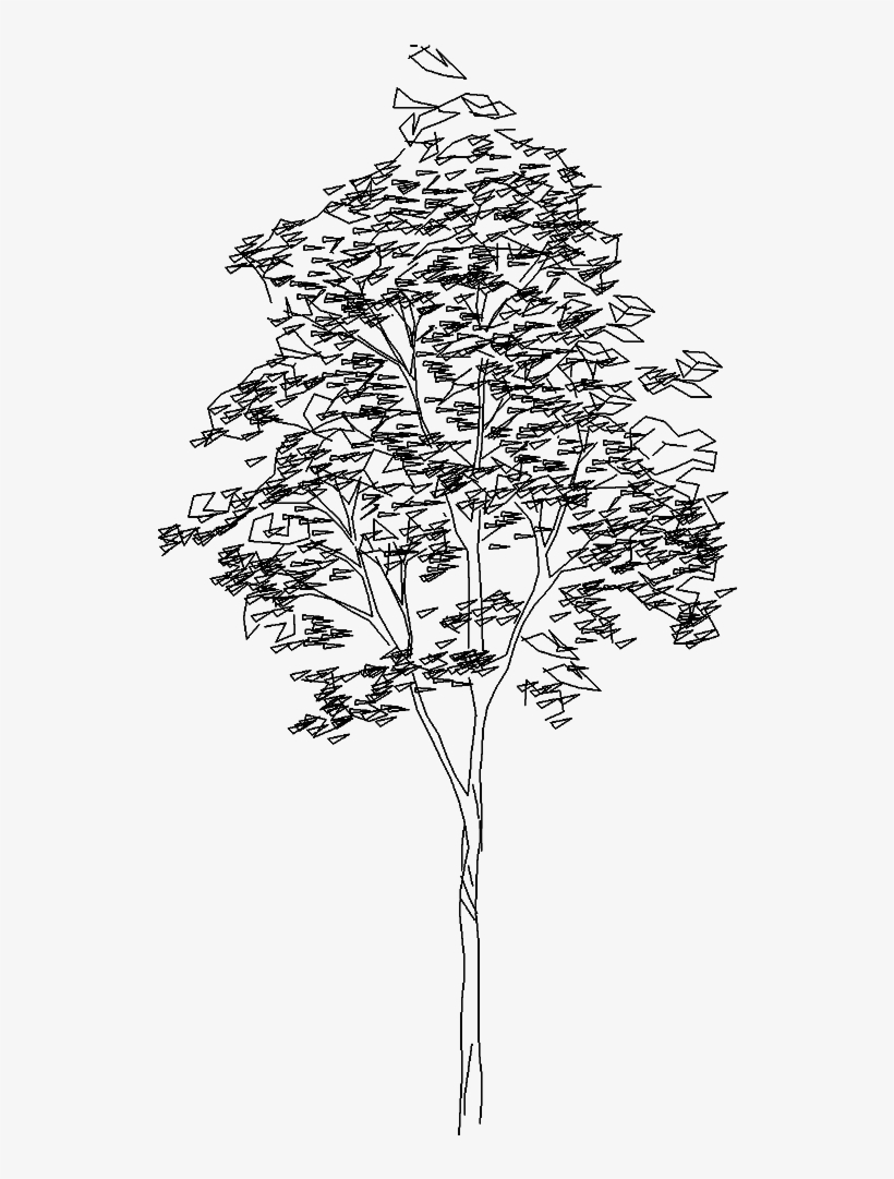 Detail Architectural Tree Nomer 24