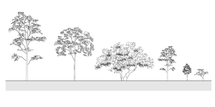 Detail Architectural Tree Nomer 27