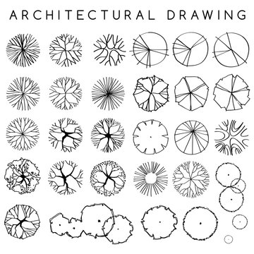Detail Architectural Tree Nomer 28
