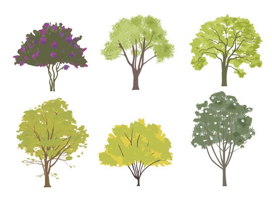 Detail Architectural Tree Nomer 29
