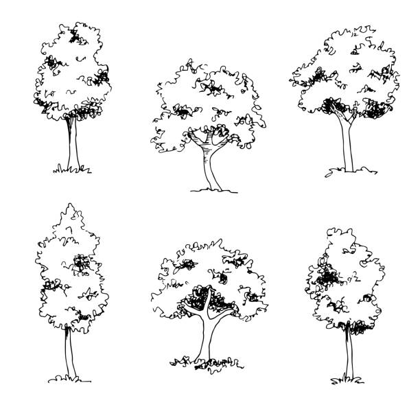 Detail Architectural Tree Nomer 31