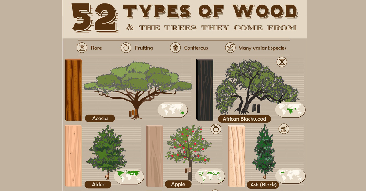 Detail Architectural Tree Nomer 32