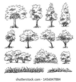 Detail Architectural Tree Nomer 5