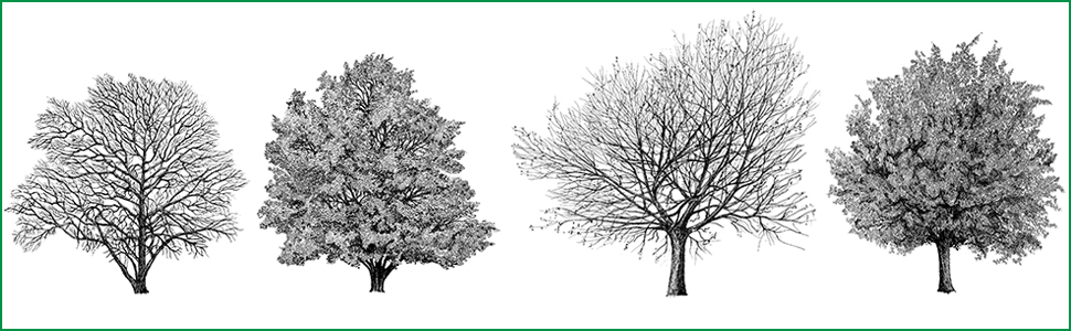 Detail Architectural Tree Nomer 41