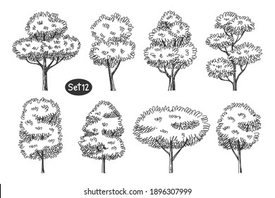 Detail Architectural Tree Nomer 45