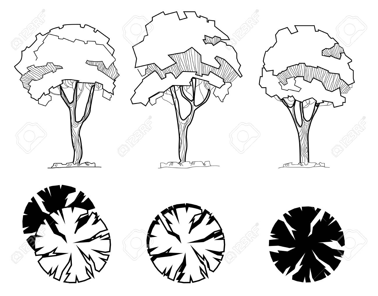 Detail Architectural Tree Nomer 6