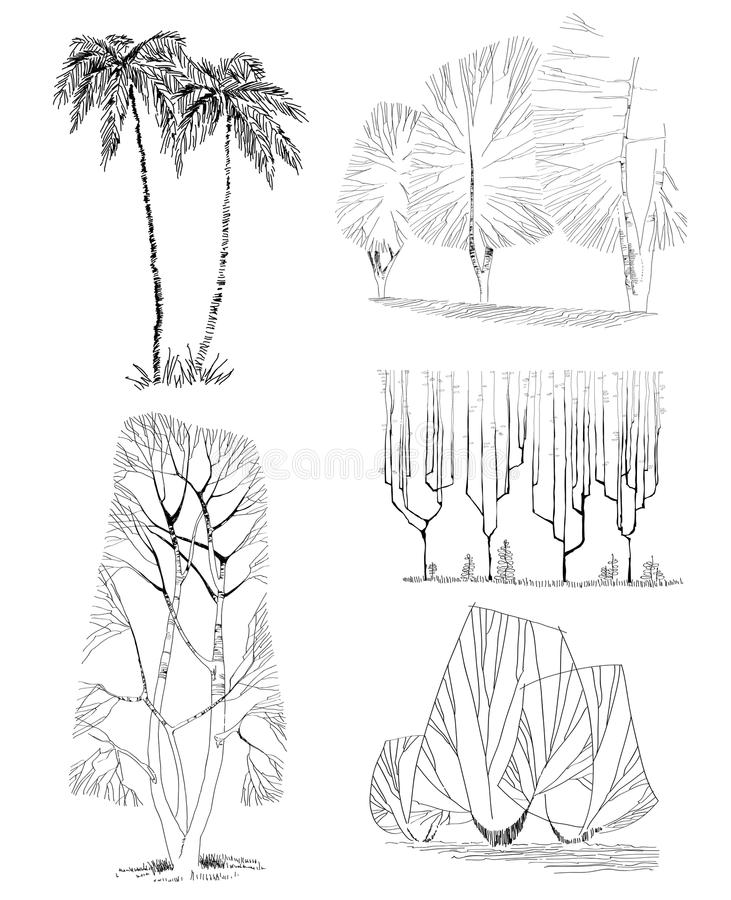 Detail Architectural Tree Nomer 53