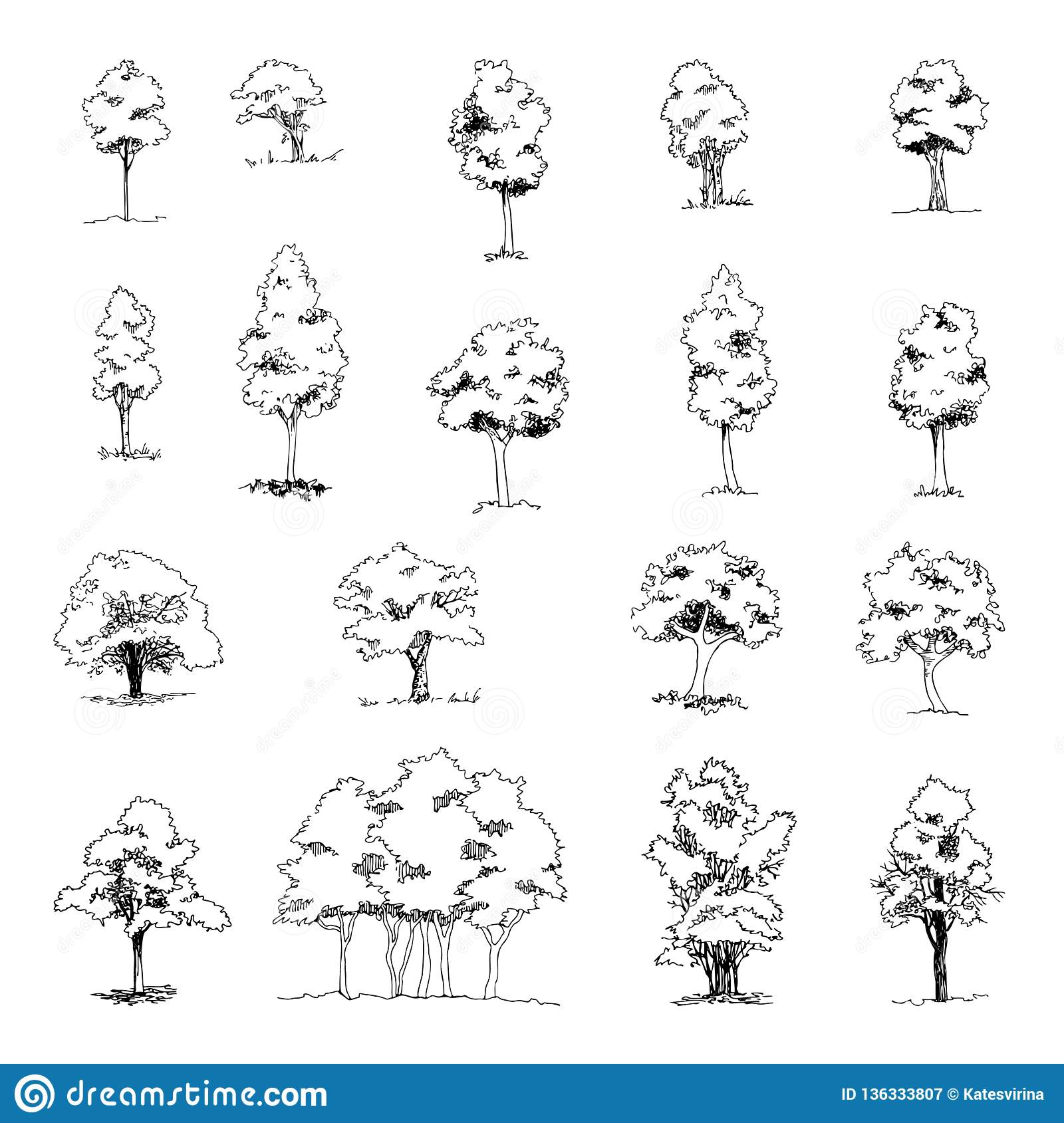 Detail Architectural Tree Nomer 7