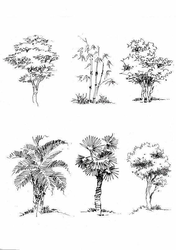 Detail Architectural Tree Nomer 9
